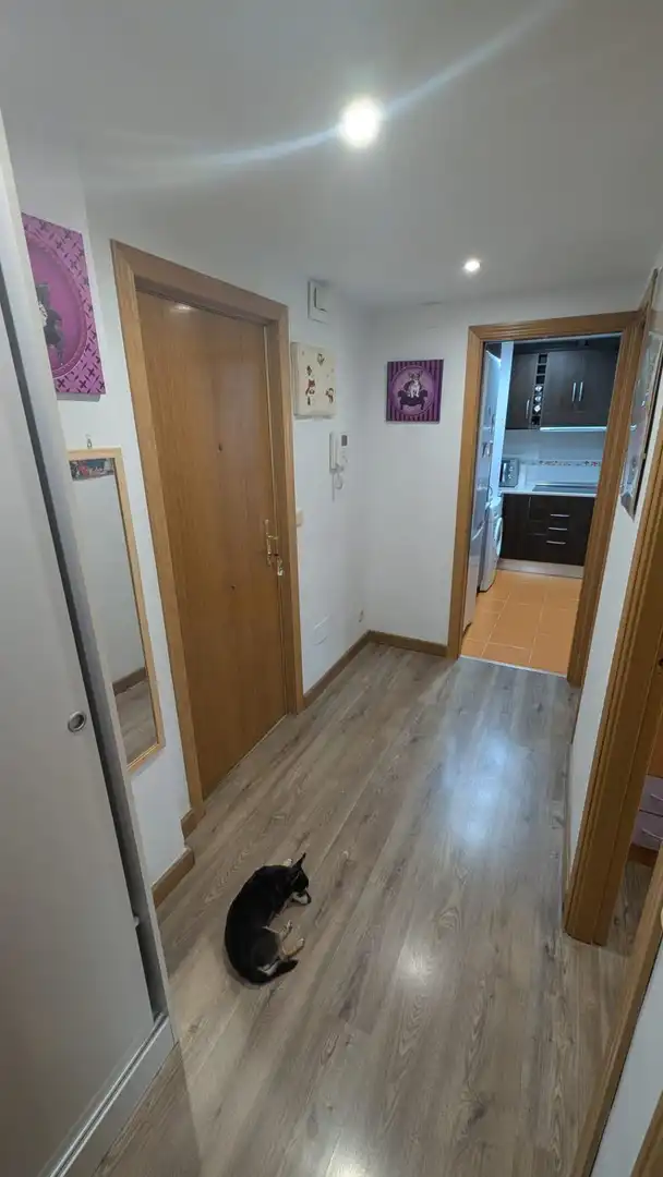 Piso de alquiler en Madrid con Aire acondicionado, Calefacción y Parquet