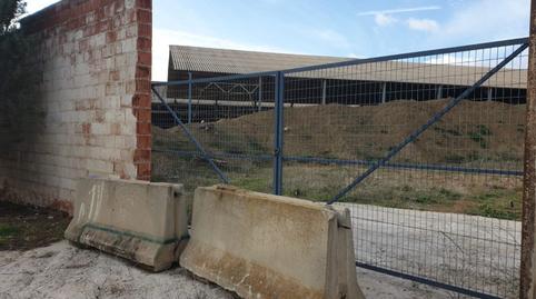 Foto 4 de Finca rústica en venta en Torrenueva, 1, Santa Cruz de Mudela, Ciudad Real
