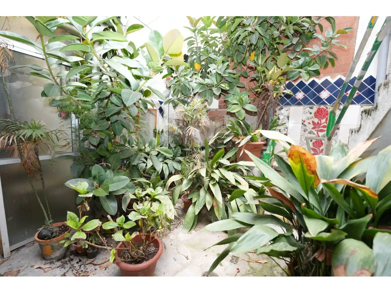 Terreno rústico en venta en Vinyets - Molí Vell, imagen 6