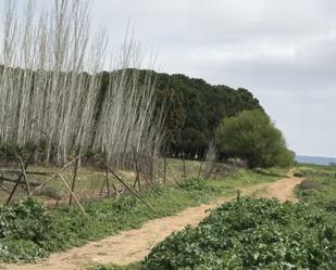 Residencial en venda en Alcalá de Henares