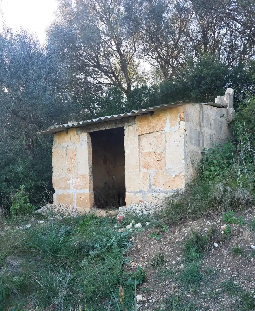 Rustikales Grundstück zum Verkauf in Camí de Son Dalmau 2, imagen 8