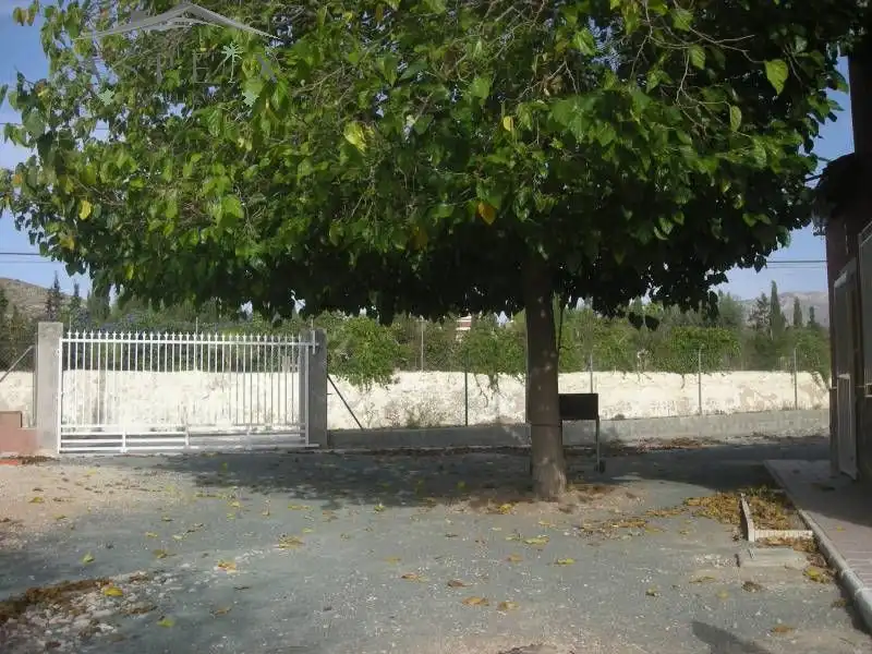 Chalet en venta en Hondón de los Frailes, imagen 27