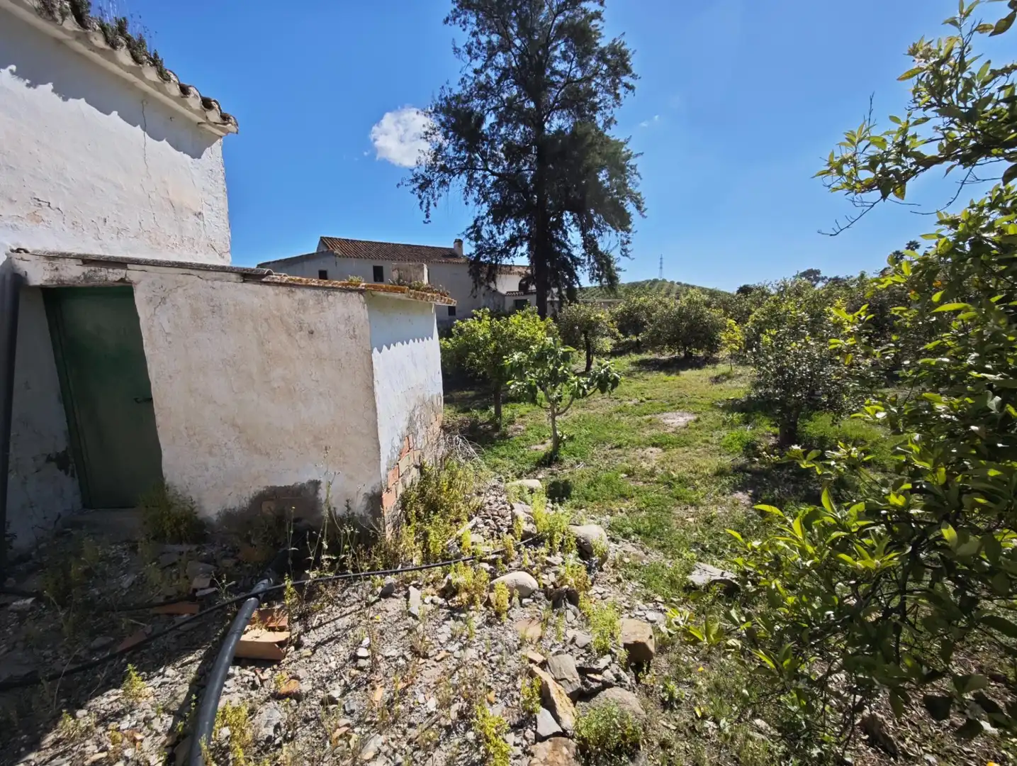Finca rústica en venda en Cártama