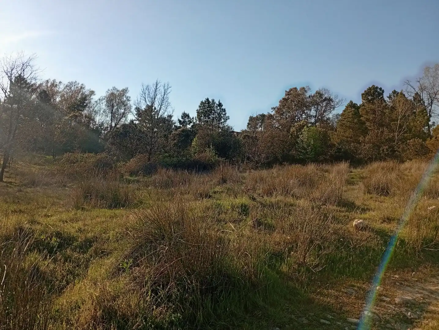 Terreni e lotti in vendita a Villanueva de la Vera, imagen 148