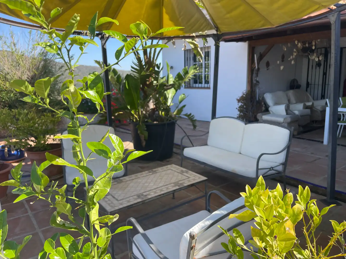 Terrace of Country homes for sale in Monda  with Air Conditioner, Heating and Private garden