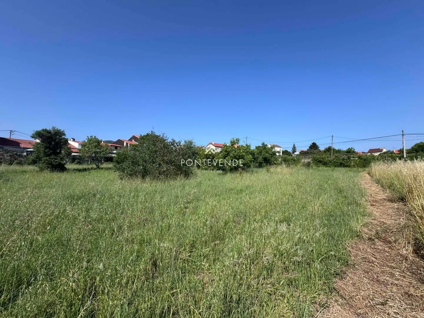Terreno rustico in vendita a Porto (Do)-Arealonga, imagen 5