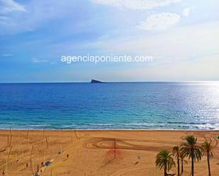 Vista exterior de Apartament de lloguer en Benidorm amb Terrassa i Balcó