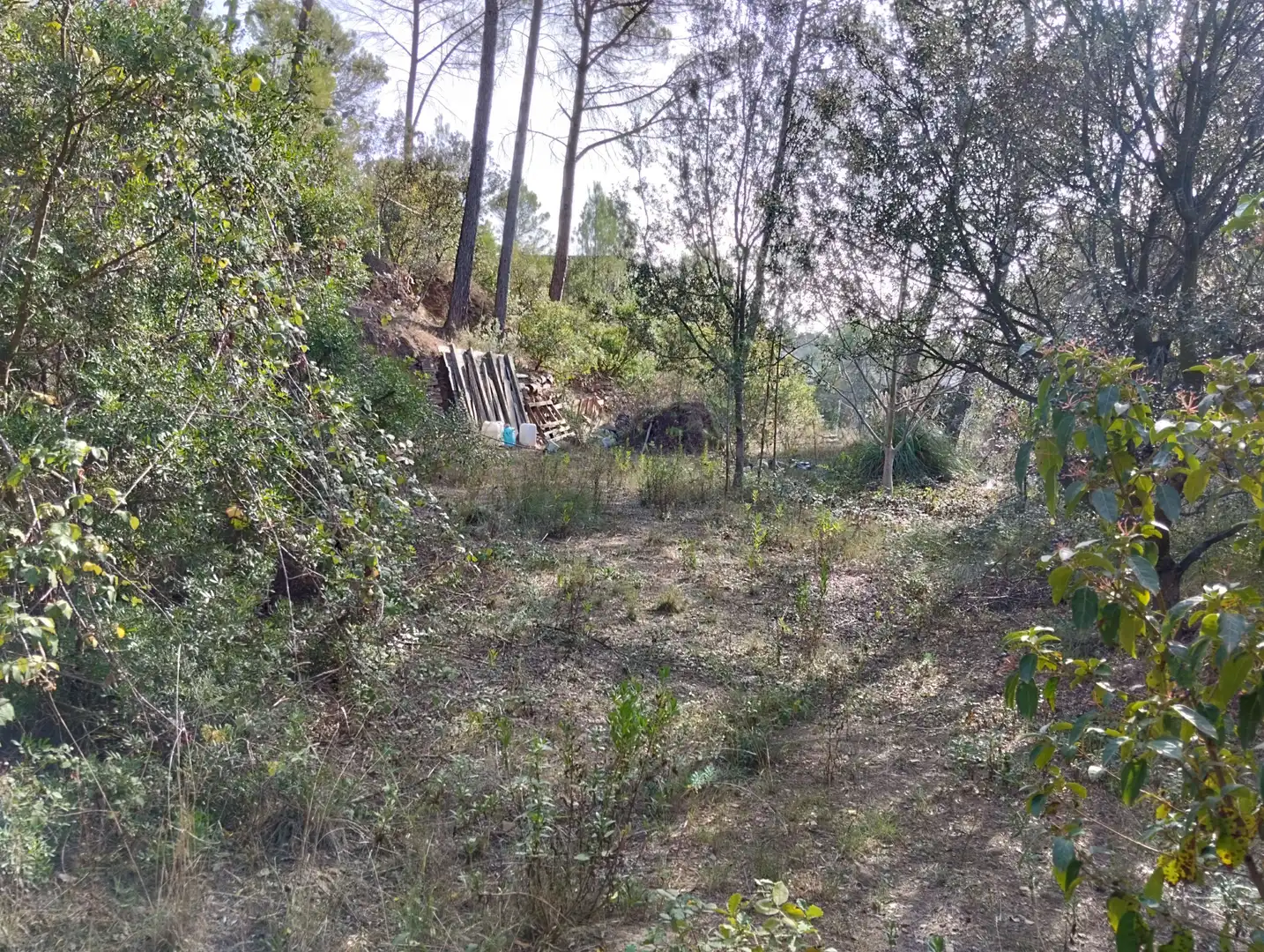 Residential zum Verkauf in Castellnou de Bages