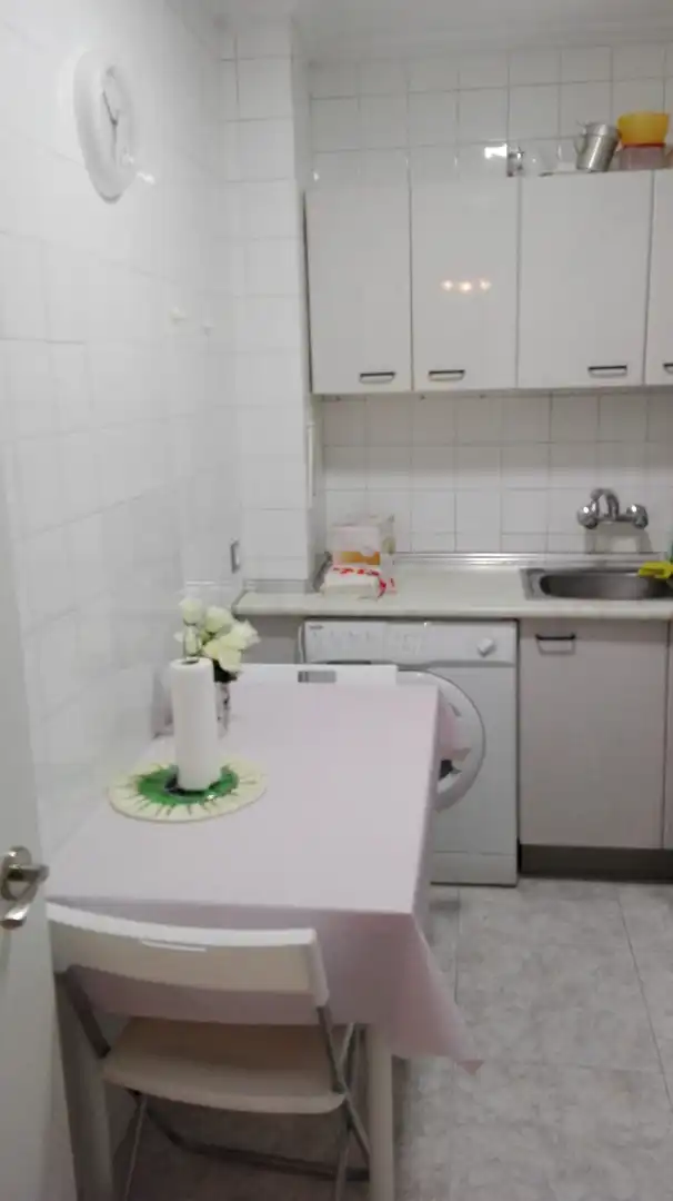 Kitchen of Apartments for rent in Fuengirola  with Air Conditioner, Terrace and Furnished