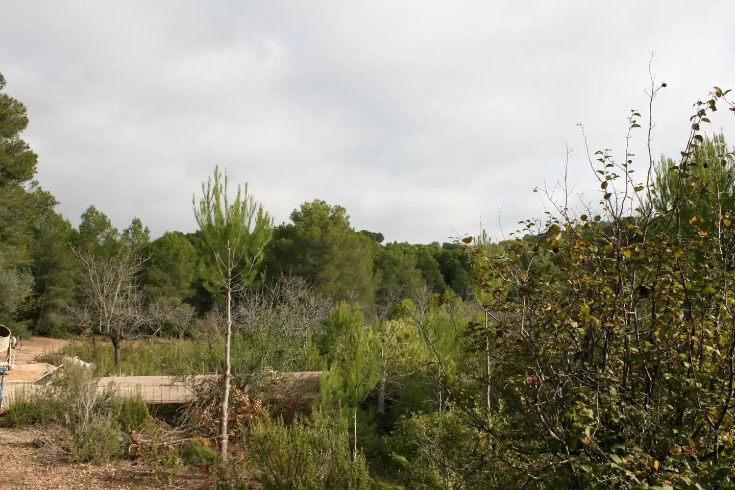 Maison rustique à vendre à peres, imagen 8
