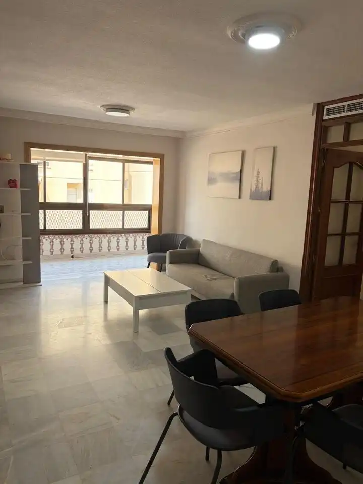 Living room of Flat for rent in Málaga  with Furnished