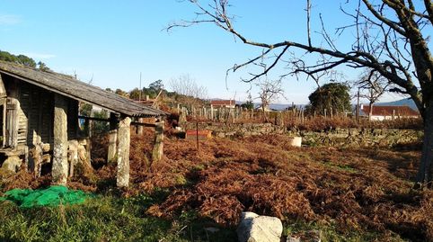 Foto 4 de Finca rústica en venta en N/a, Tomiño, Pontevedra