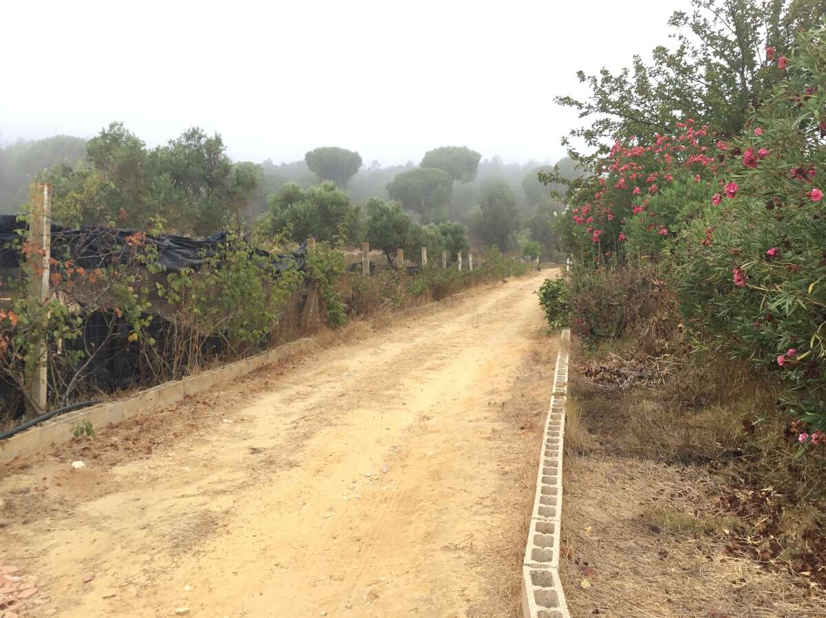 Vista exterior de Finca rústica en venda en Almonte amb Aire condicionat, Traster i Piscina
