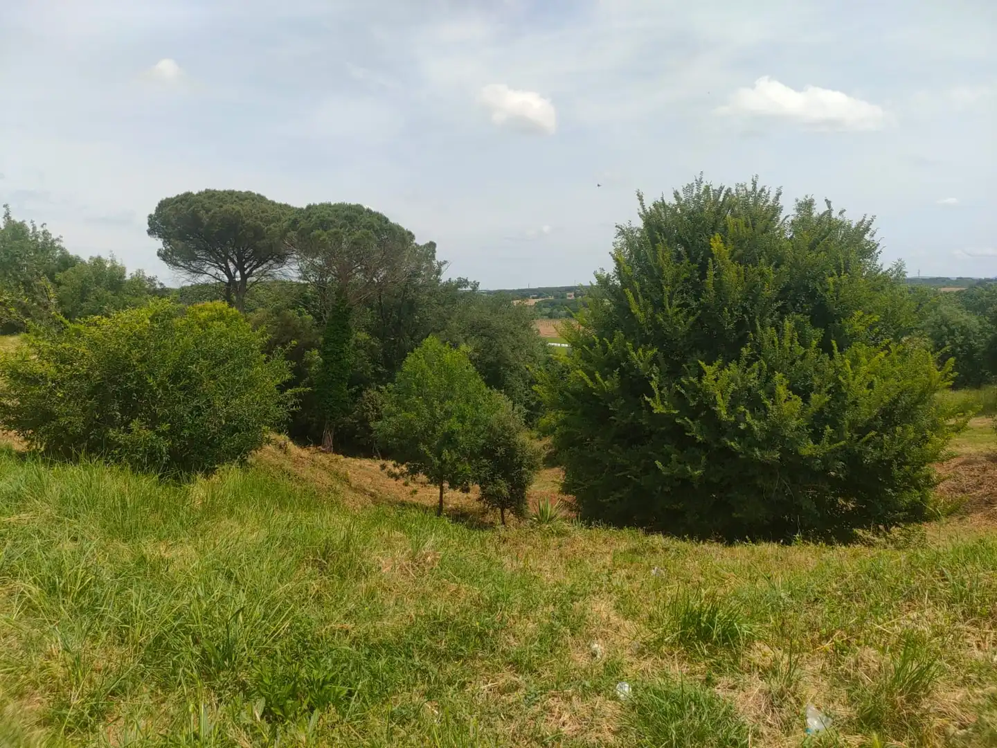 Residential land for sale in Avinguda Barceloneta 52, imagen 3