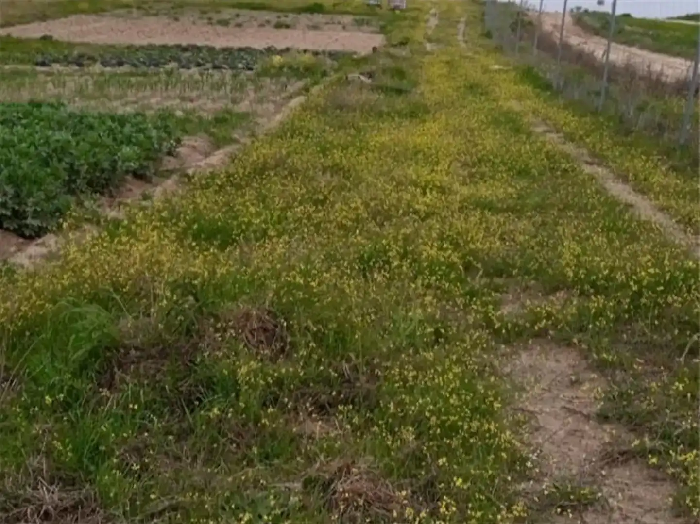 Land for sale in Escalona, Toledo