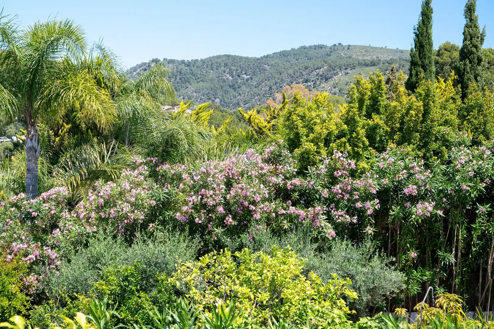 Jardín de Casa adosada en venta en Calvià con Terraza y Balcón