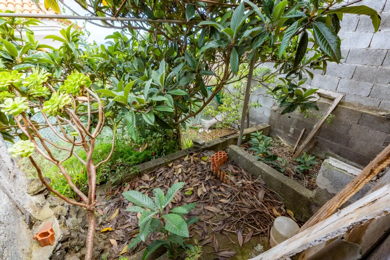 Villa à vendre à Avenida Avenida de Colón, 06, imagen 55