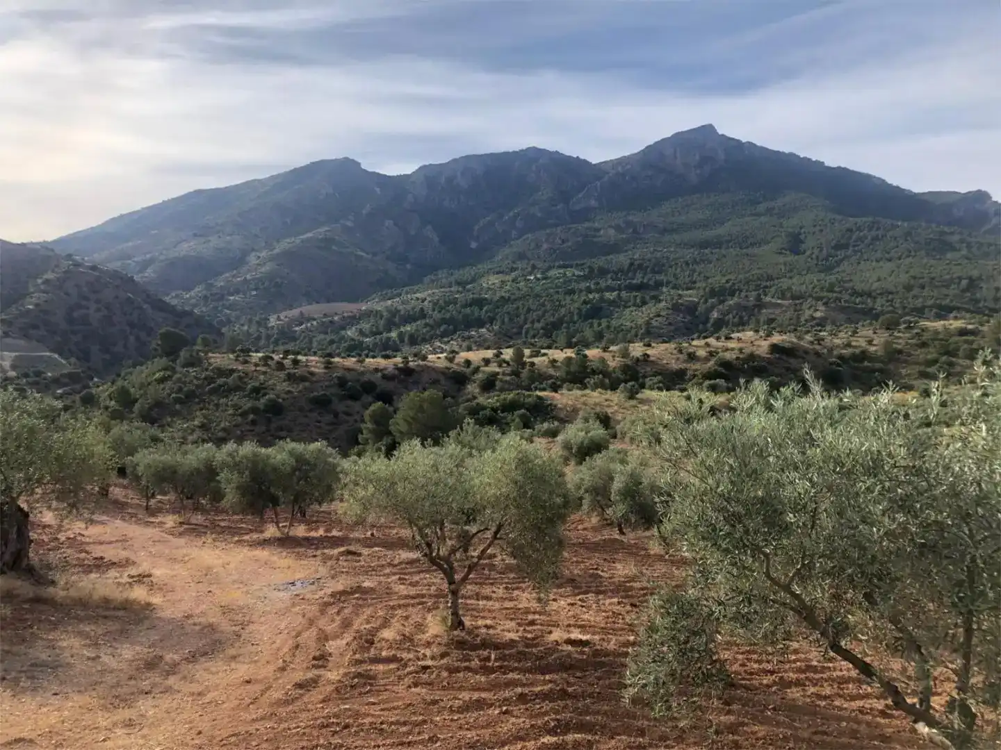 Piso en venta en Ardales