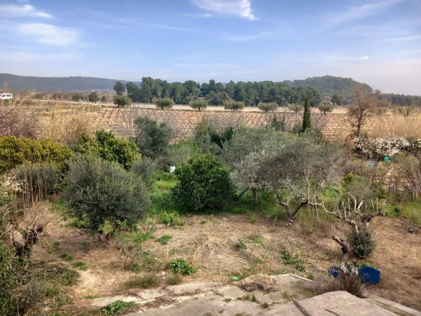 Casa o xalet en venda en Torrelles de Foix amb Traster