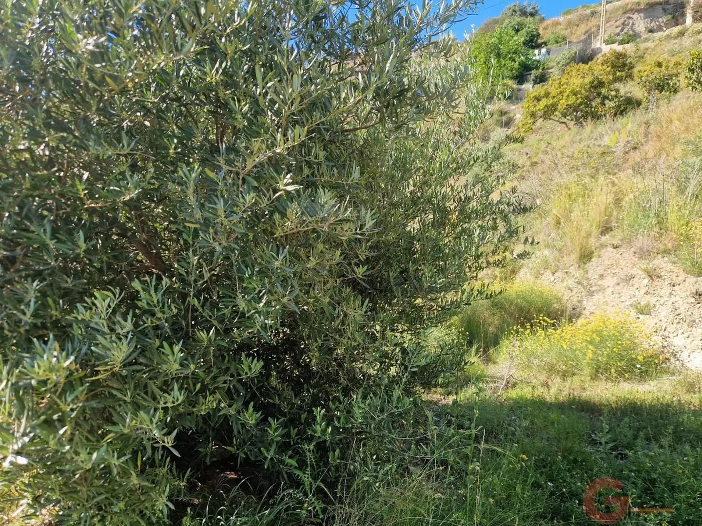 Terrenys i solars en venda a Monte los Almendros - El Pargo - Costa Aguilera, imagen 16