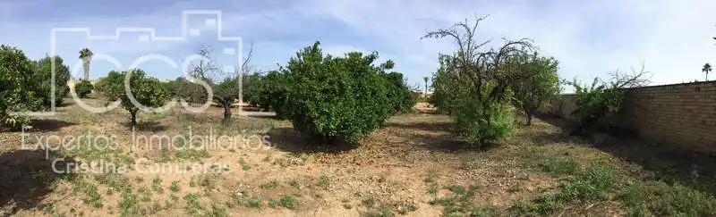 Terreni e lotti in vendita a Olivares, imagen 21