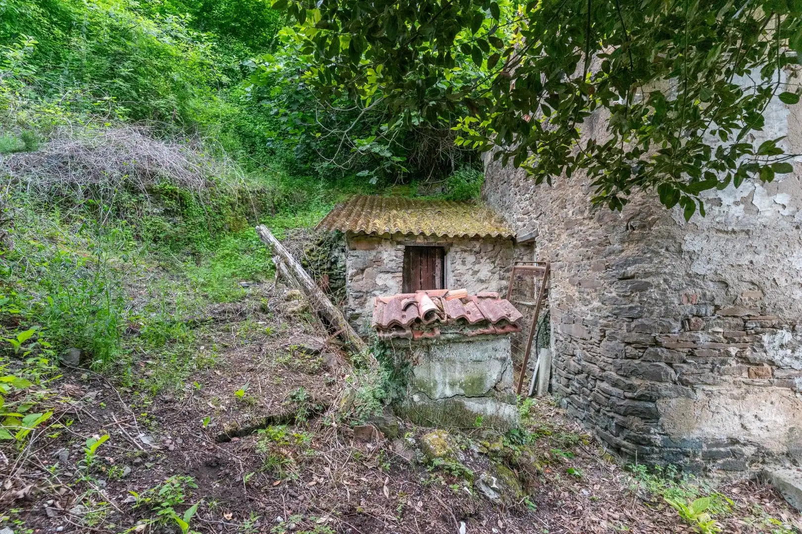 Vista exterior de Casa o xalet en venda en Mieres (Asturias)