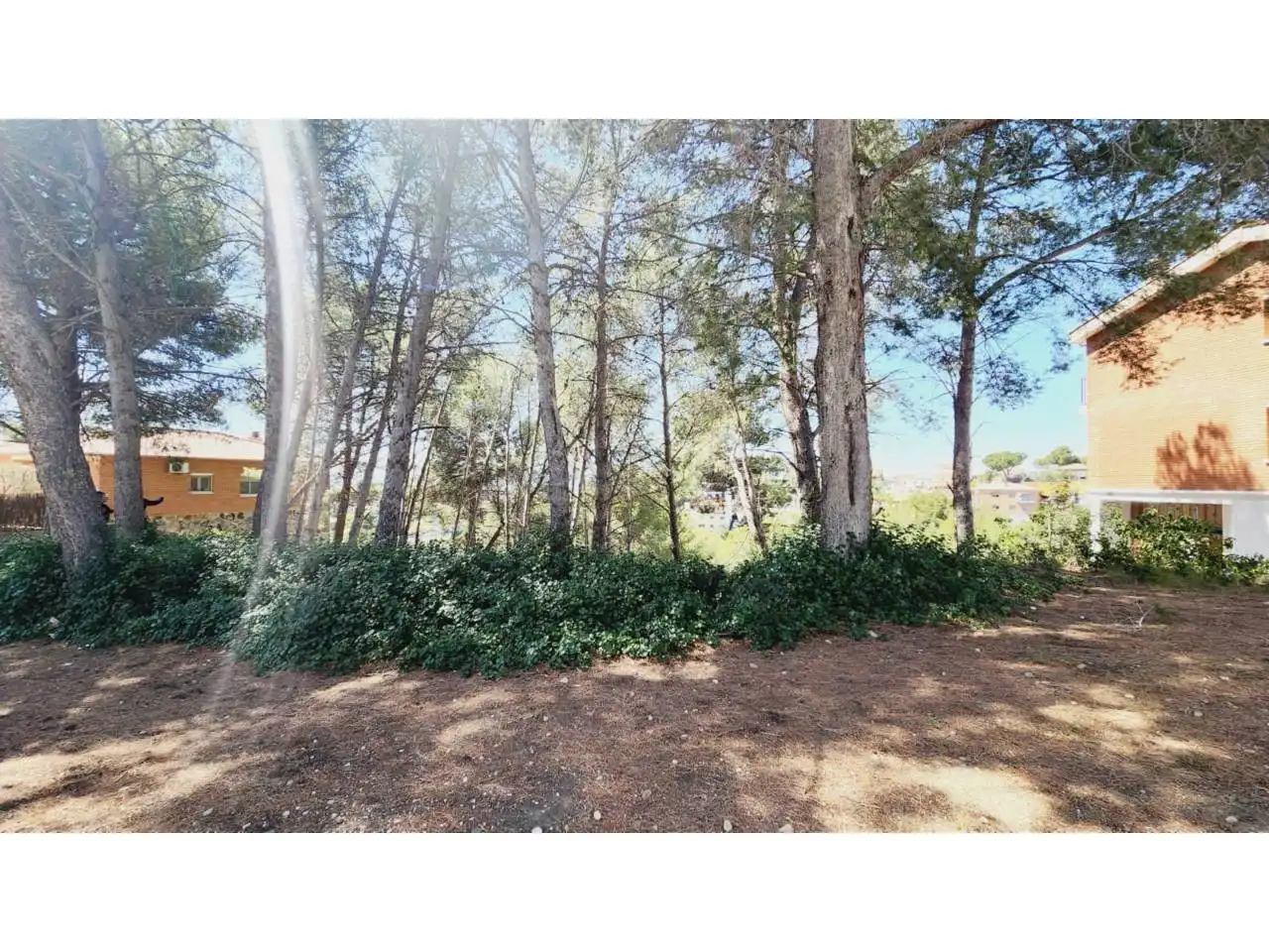 Terreny residencial en venda a Castellnou - Can Mir - Can Solà, imagen 6