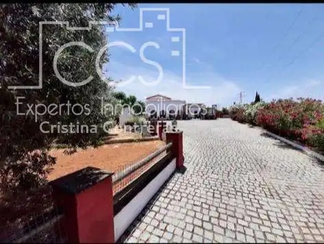 Vista exterior de Finca rústica en venta en Alcalá de Guadaira con Piscina y Amueblado