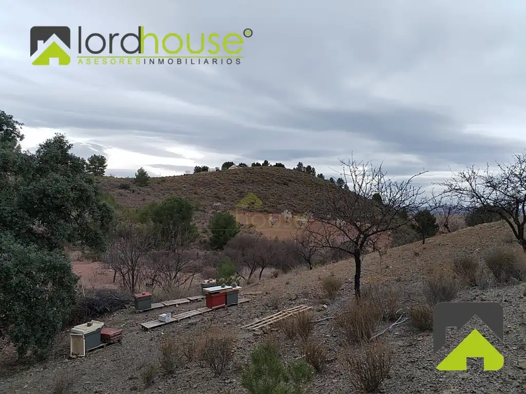 Casa o chalet en venta en Lorca
