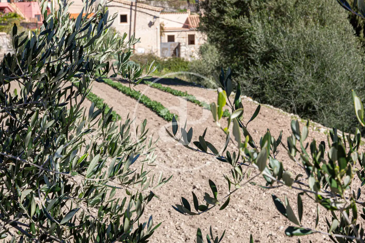 Garden of Residential for sale in Puigpunyent