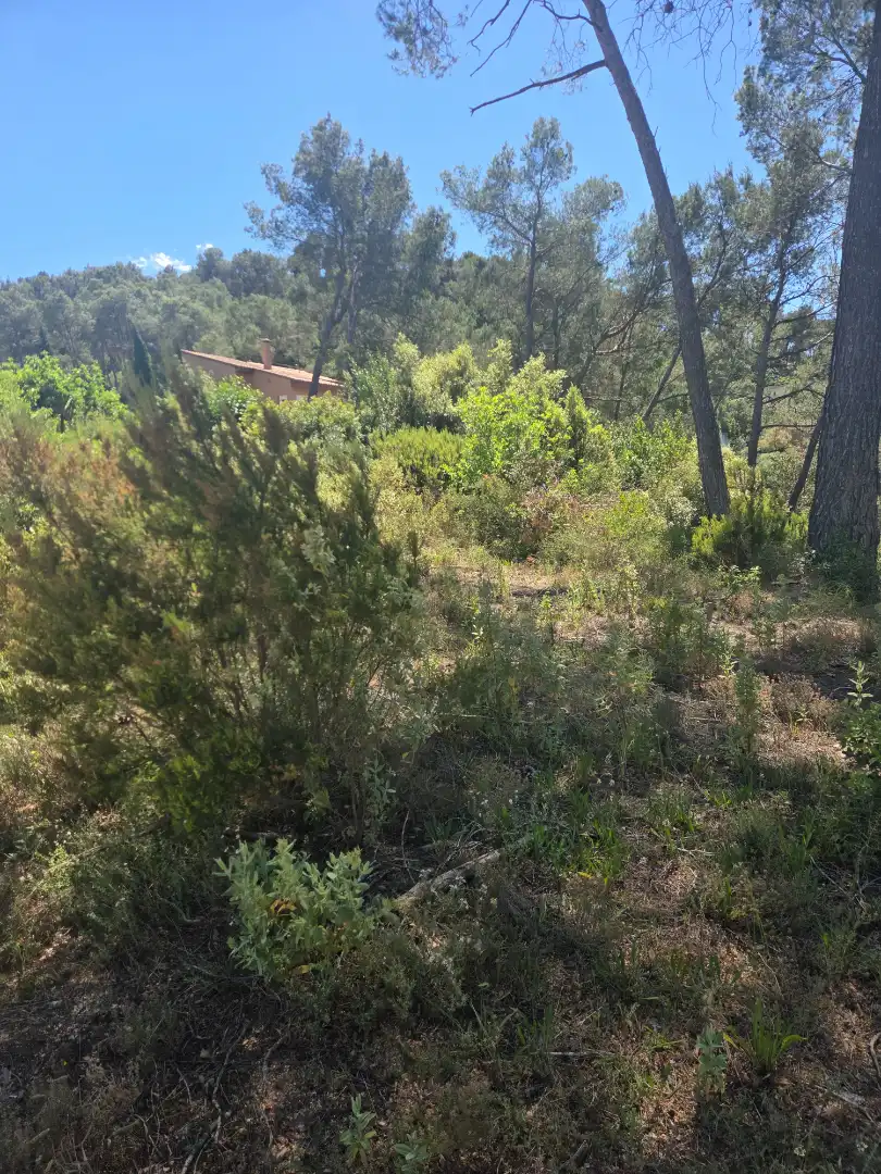 Casa o xalet en venda en Torrelles de Llobregat amb Aire condicionat, Calefacció i Jardí privat
