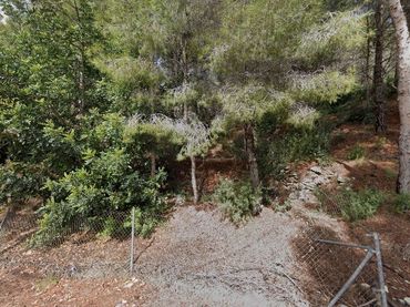Grundstücke und Bauplätze zum Verkauf in Altea la Vella