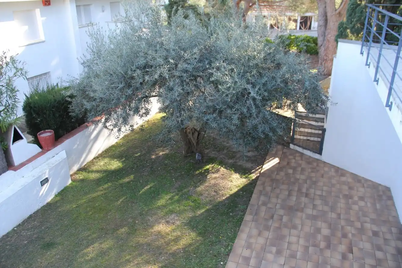 Jardí de Casa o xalet en venda en El Port de la Selva amb Aire condicionat, Calefacció i Jardí privat