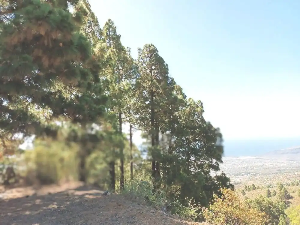 Vista exterior de Casa o chalet en venta en Arafo con Jardín privado, Terraza y Trastero
