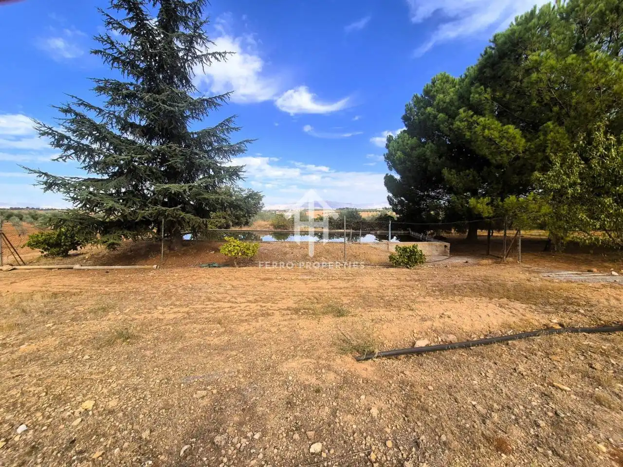 Rural land for sale in Moraleda de Zafayona, imagen 24