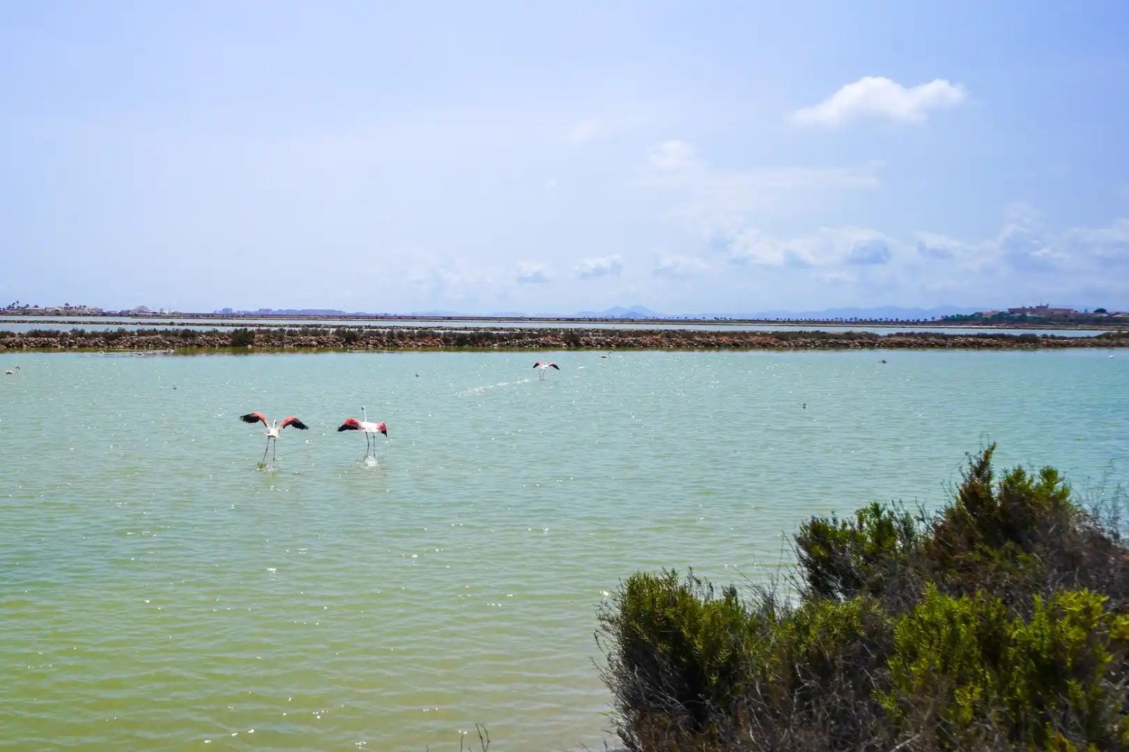 Business premises for sale in San Pedro del Pinatar, imagen 92
