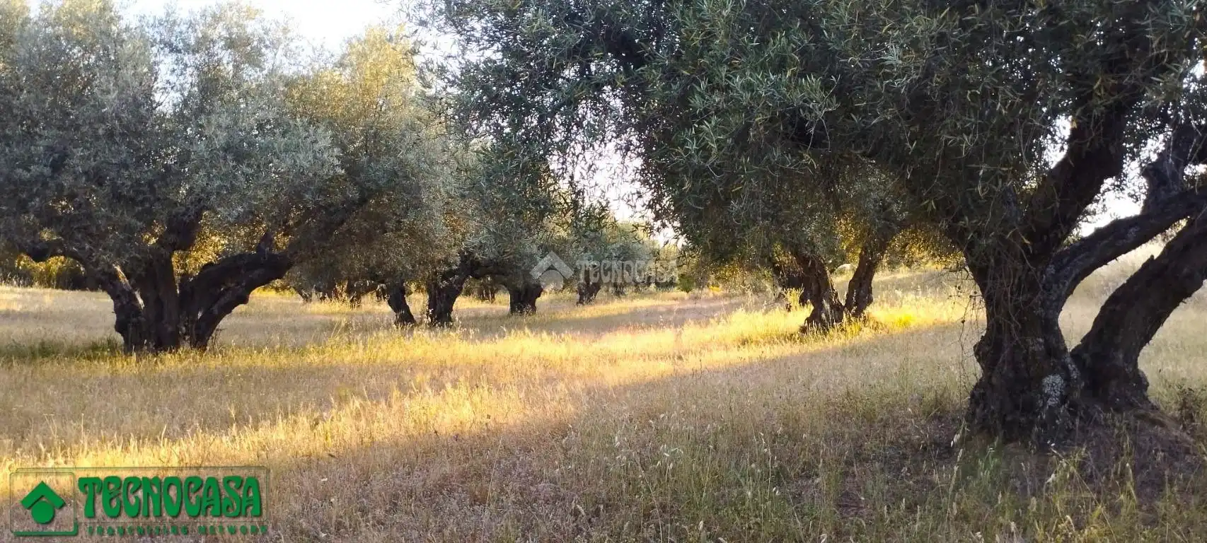 Terreni e lotti in vendita a Méntrida, imagen 29