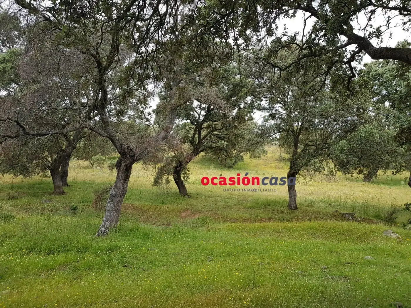 Finca rústica en venta en Torrecampo