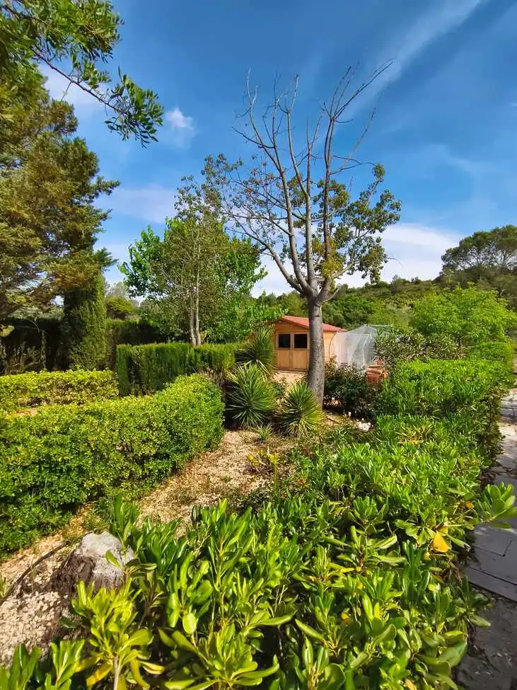 Casa rustica con piscina in vendita a Xàtiva, imagen 38