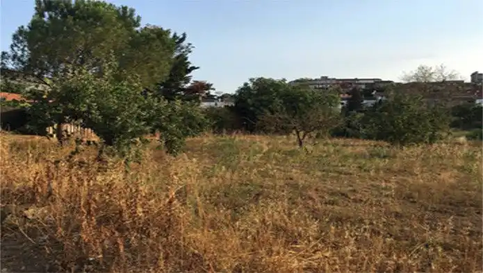 Terreny residencial en venda a El Quinta De La Casa Nova ( Cl Panedes), imagen 17