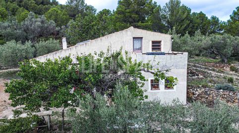 Foto 5 de Finca rústica en venta en Bítem, Tortosa