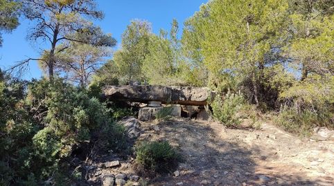 fINCA CON CASITA EN COSNTRUCCIÓN Y BUENAS VISTAS, immagine 4