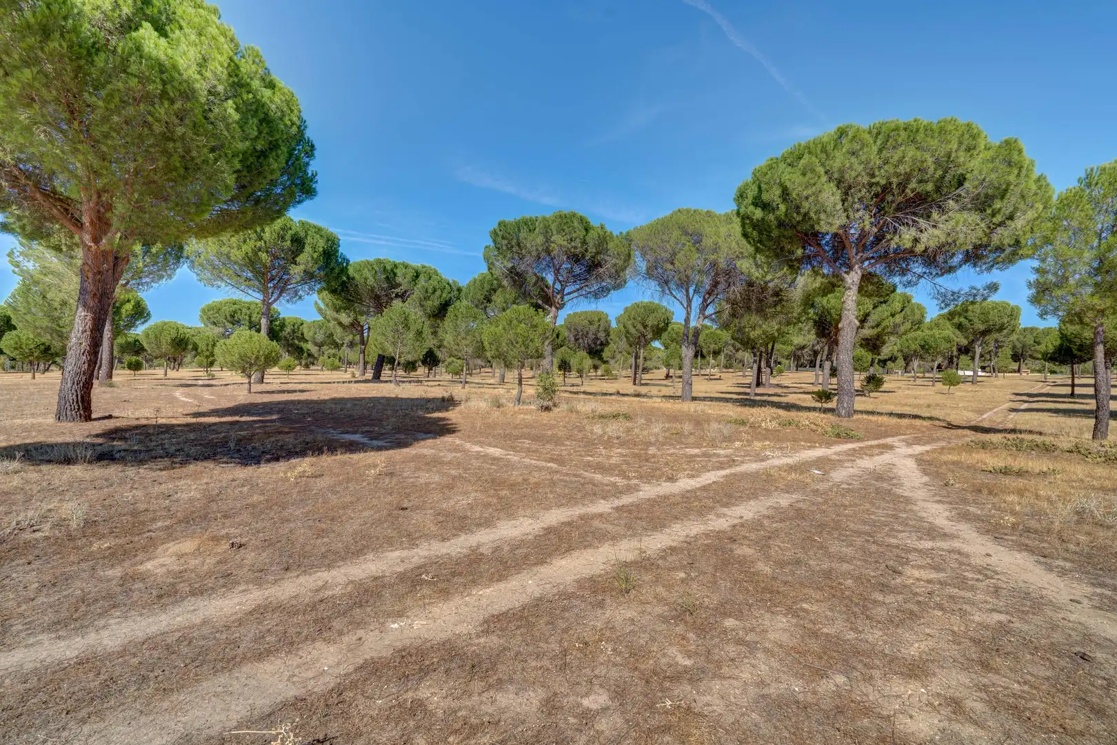 Casa o chalet en venta en Valdestillas, Valladolid