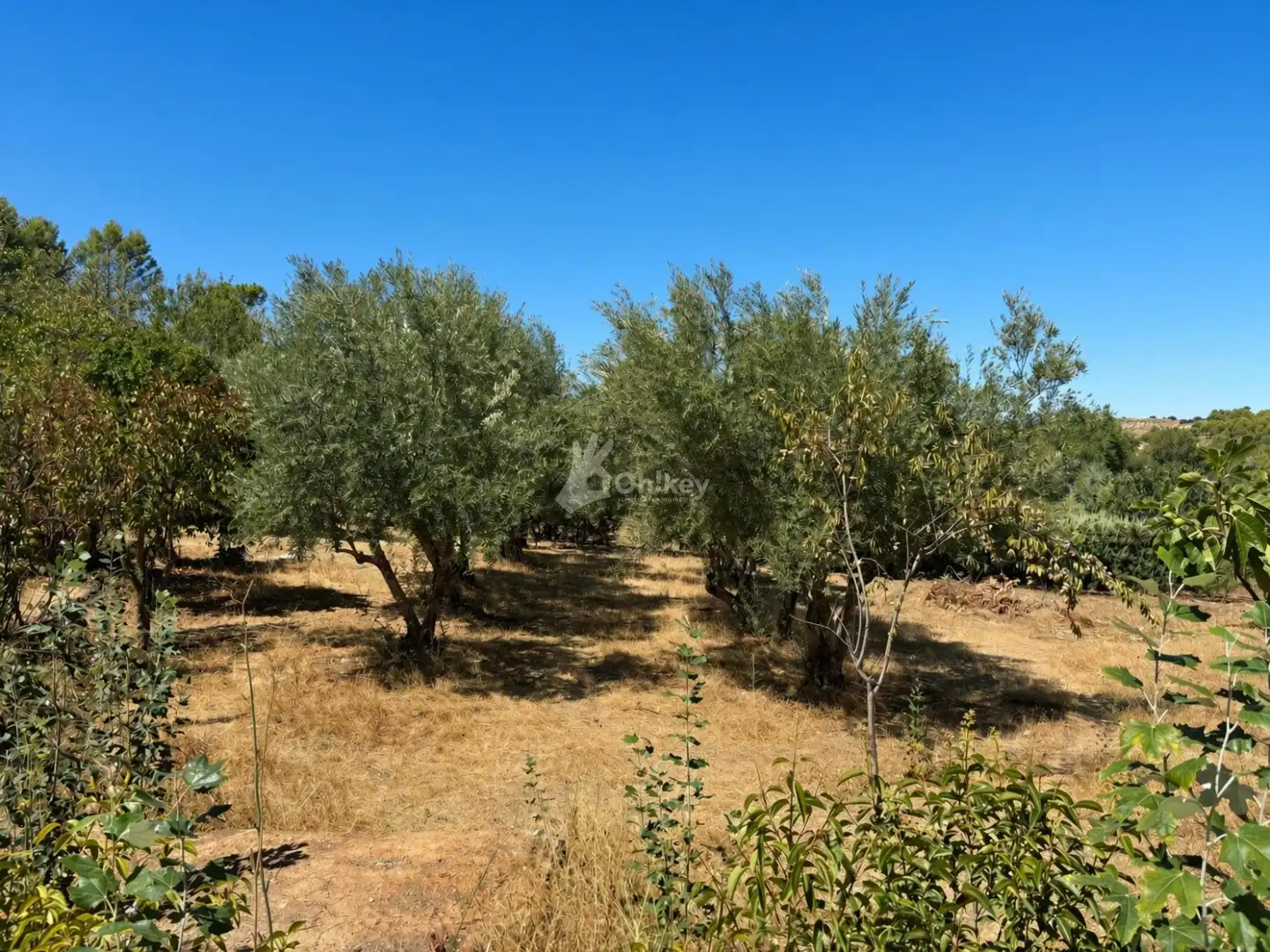 Casa o xalet en venda a Brea de Tajo