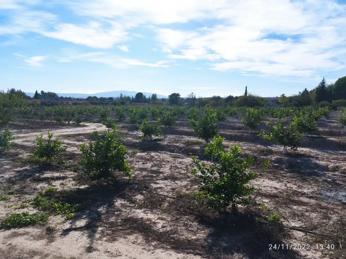 Terreny residencial en venda a El Llano, imagen 6