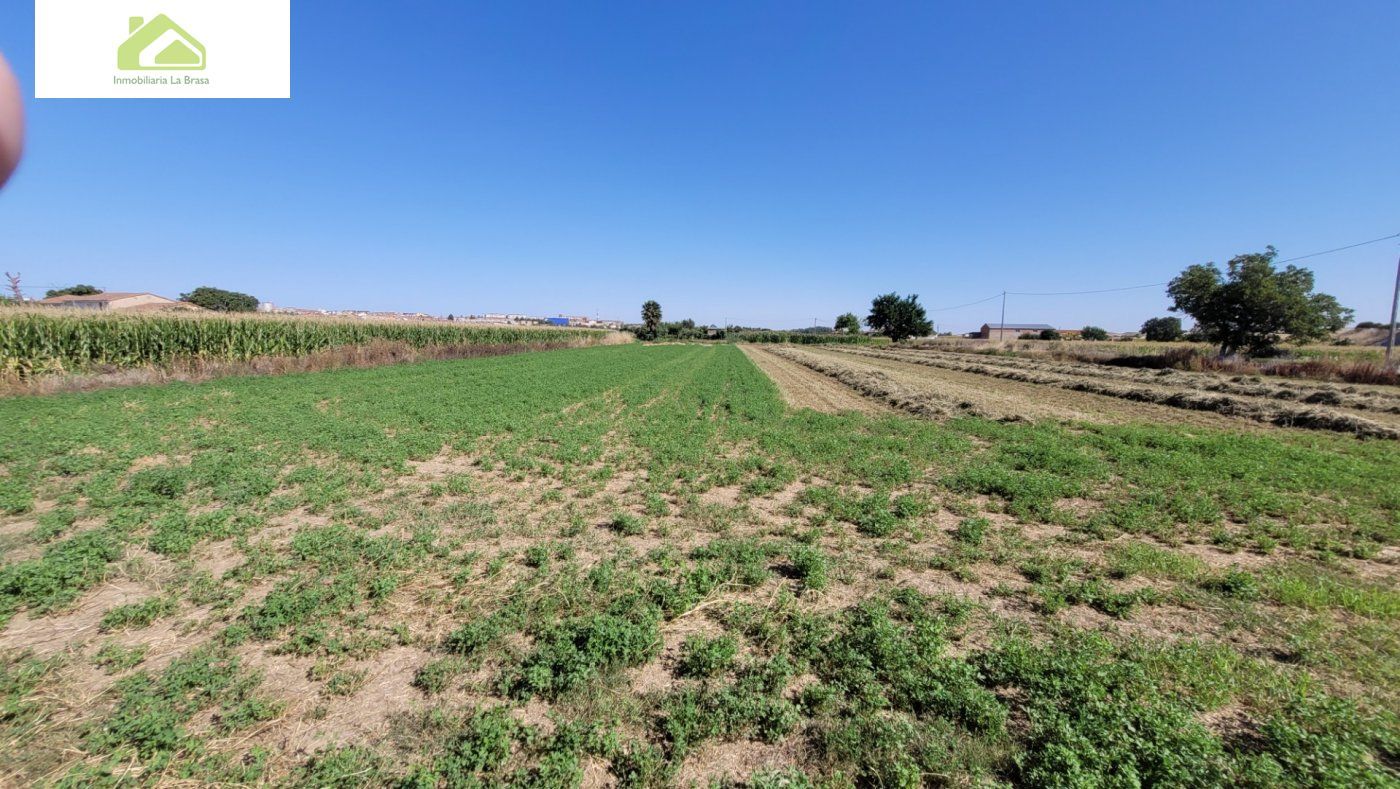 Finca rústica en venda en Zamora Capital 