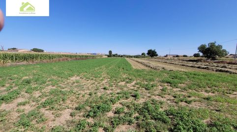 VENTA FINCA CRTA VILLARALBO