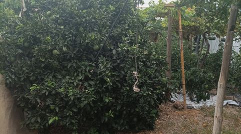Casa con huerto, imagen 3