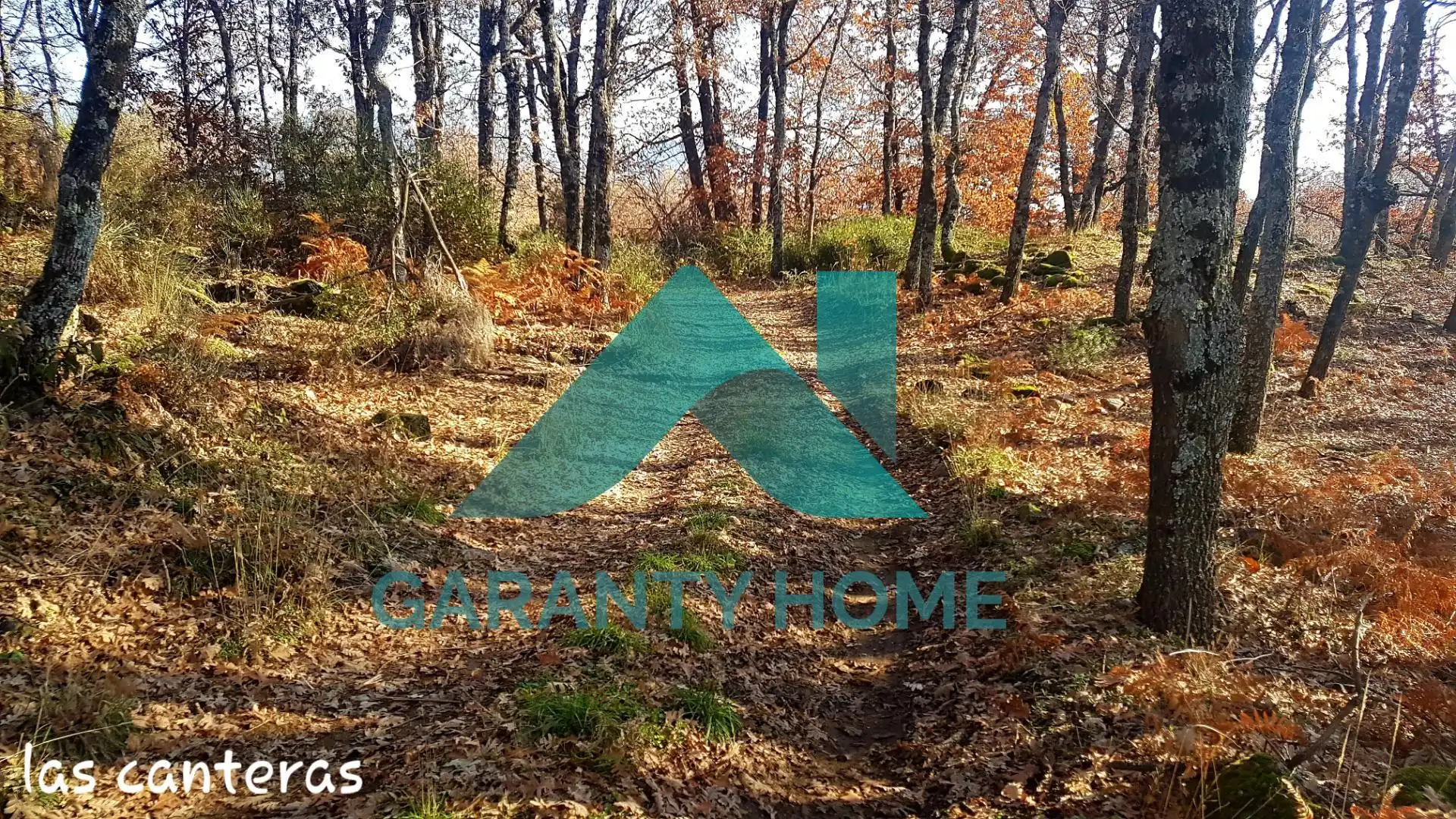Finca rústica en venta en Aldeanueva de la Vera