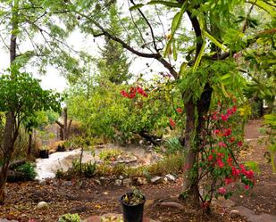 Jardí de Casa o xalet en venda en Málaga Capital amb Terrassa i Piscina